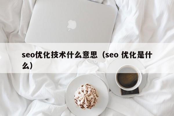 seo优化技术什么意思（seo 优化是什么）