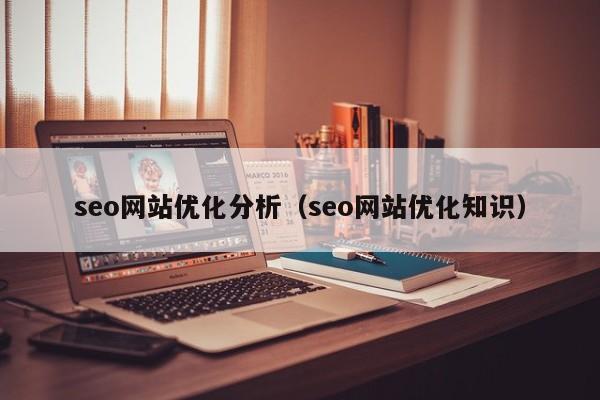 seo网站优化分析（seo网站优化知识）
